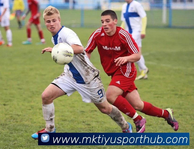 App Interface Preview