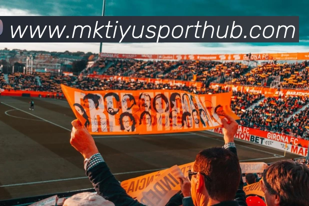 MK体育APP 封面图